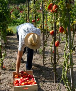 Gardening